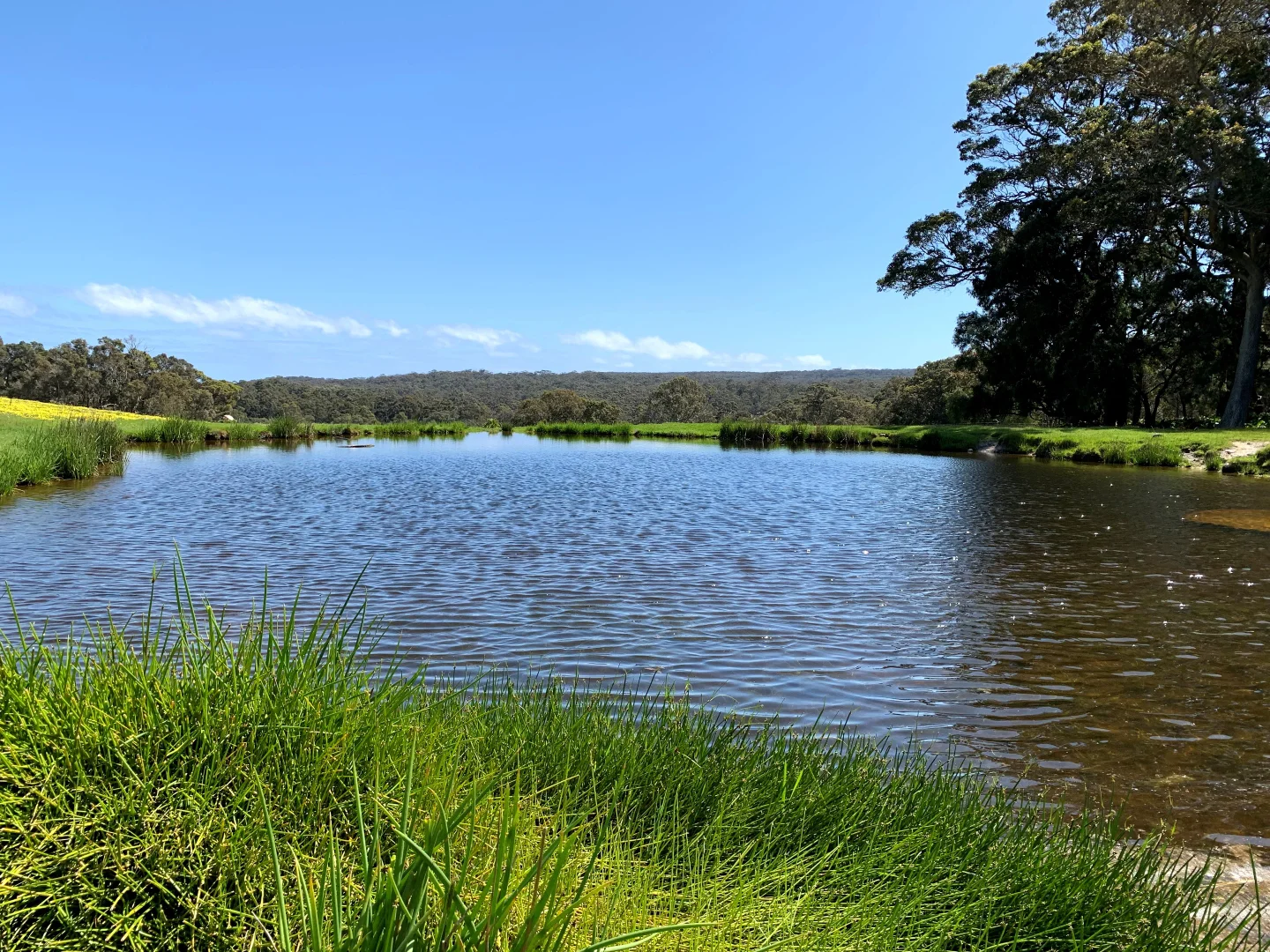 Additional image 5 of Lot 61 Caves Road, Burnside WA 6285