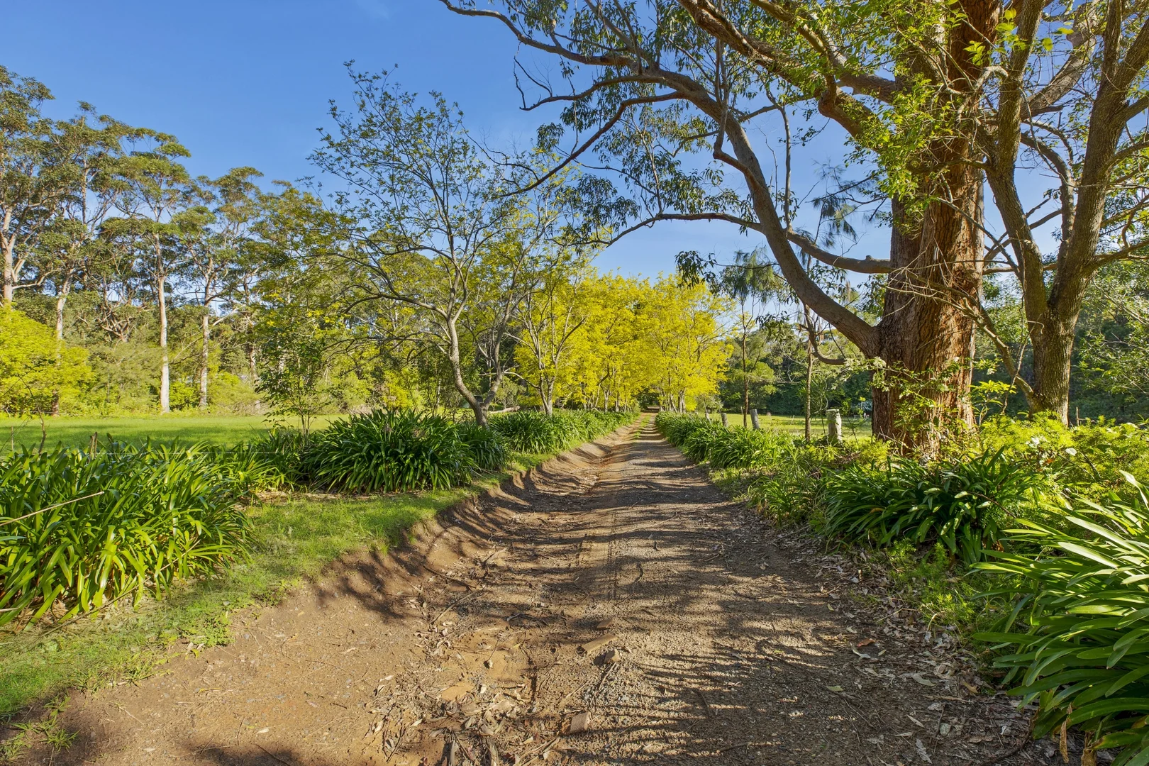 Additional image 5 of 79 Maitland Bay Drive, Killcare Heights NSW 2257