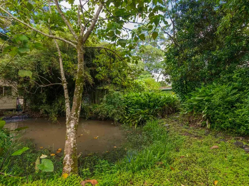 Additional image 10 of 27/78 Cecil Street, Nimbin NSW 2480