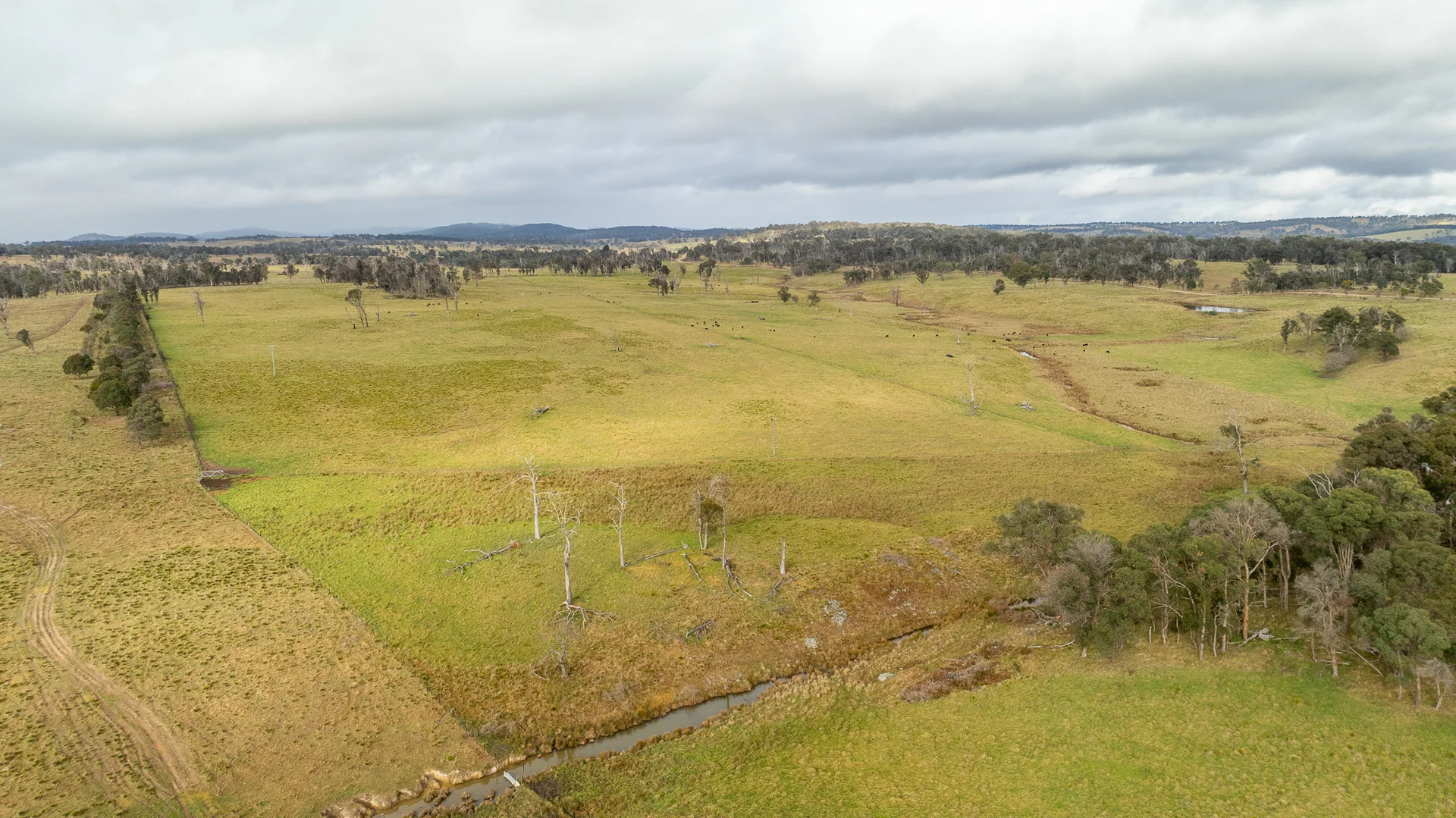 Additional image 19 of 737 Dyamberin Road, Wongwibinda NSW 2350
