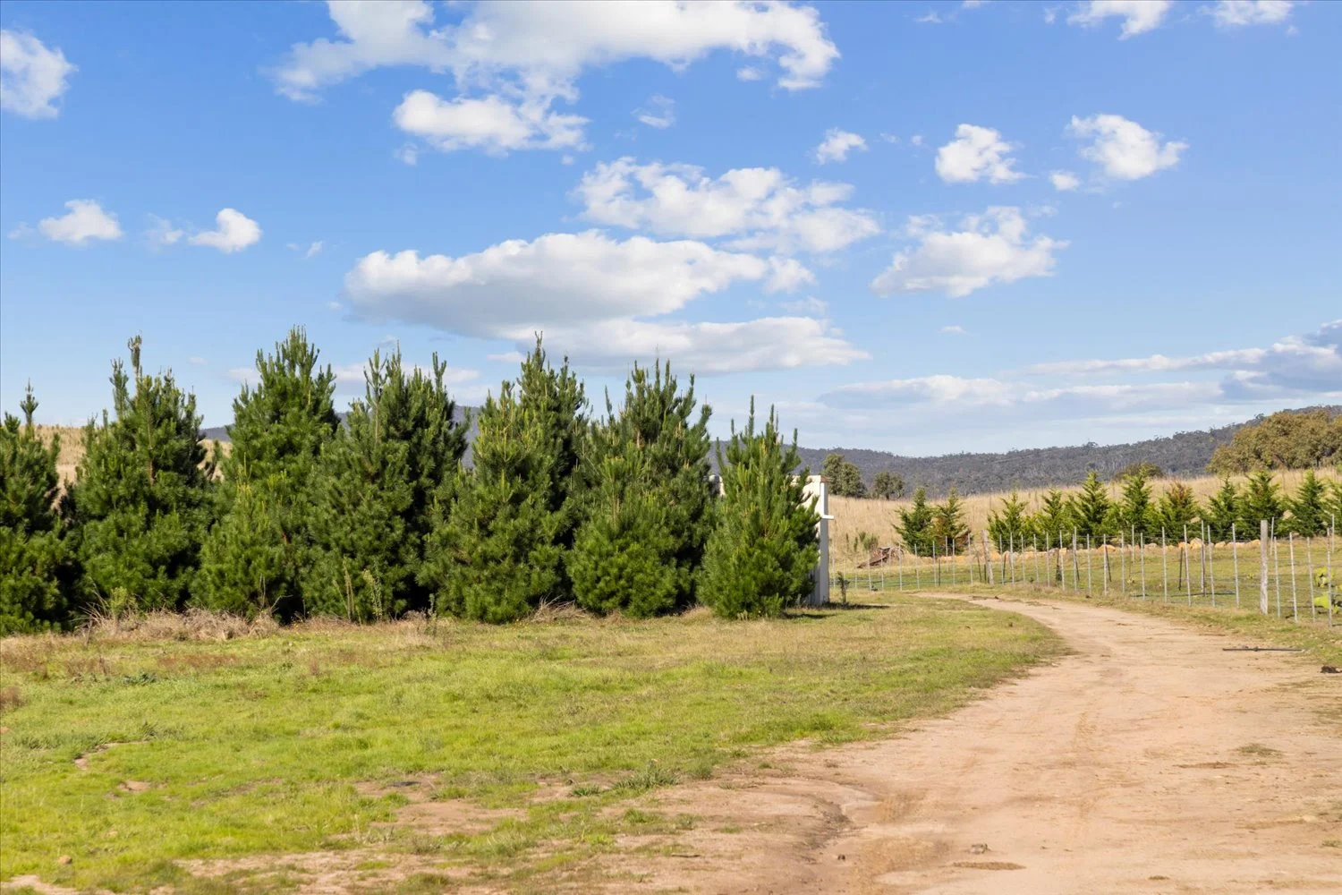 Additional image 30 of 134 Lakeview Road, Tarago NSW 2580