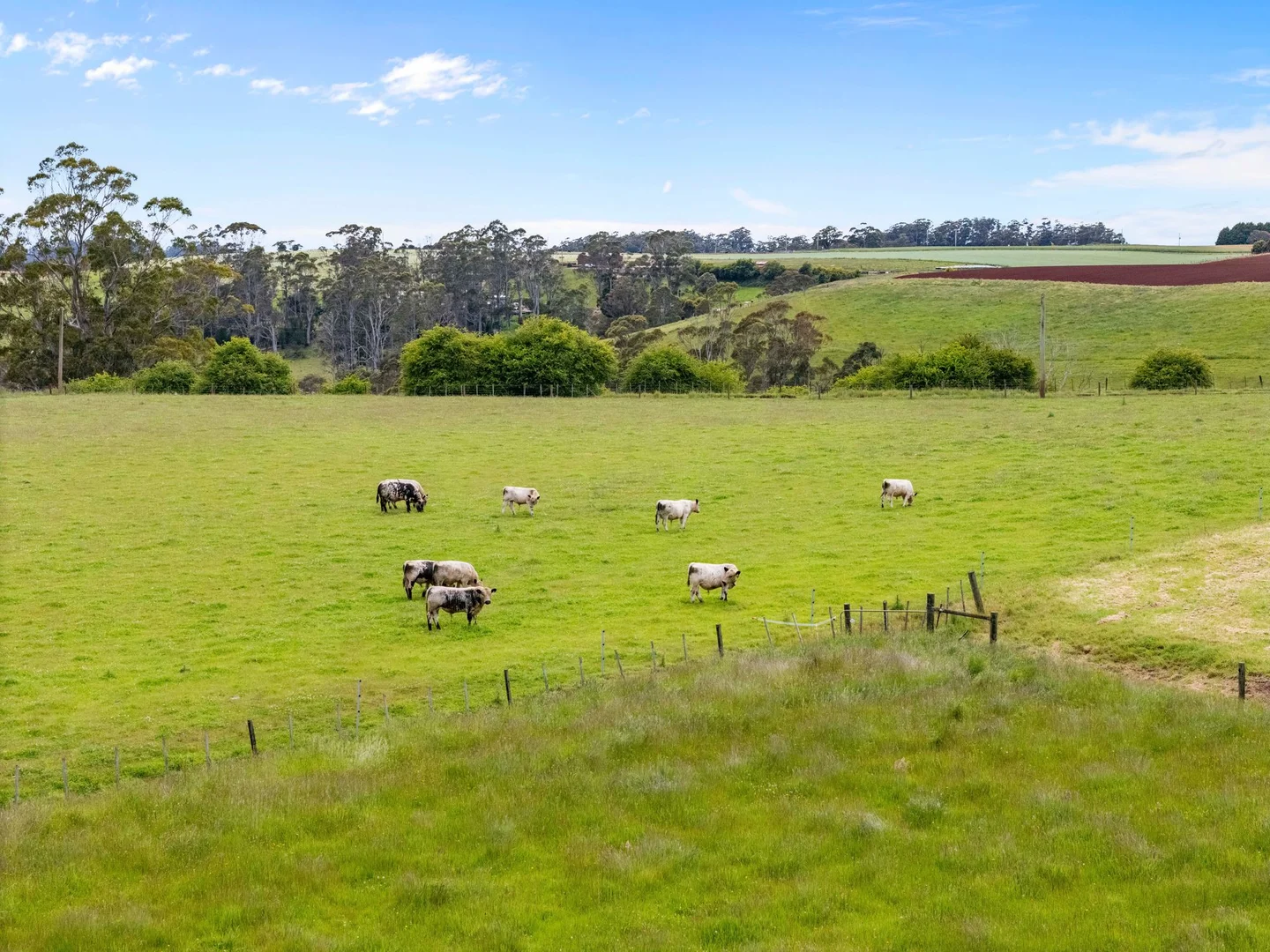 Additional image 25 of 69 Meads Road, Melrose TAS 7310