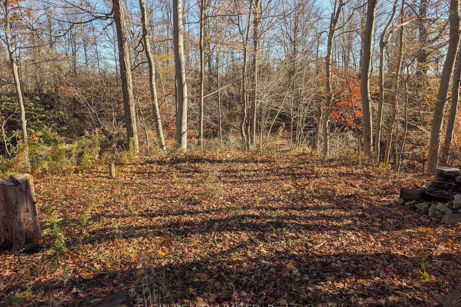 Additional image 2 of 46420 Methodist St. Street