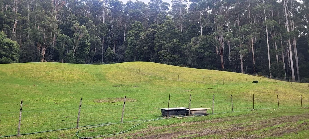 Additional image 8 of 229 Melrose Road, Aberdeen TAS 7310