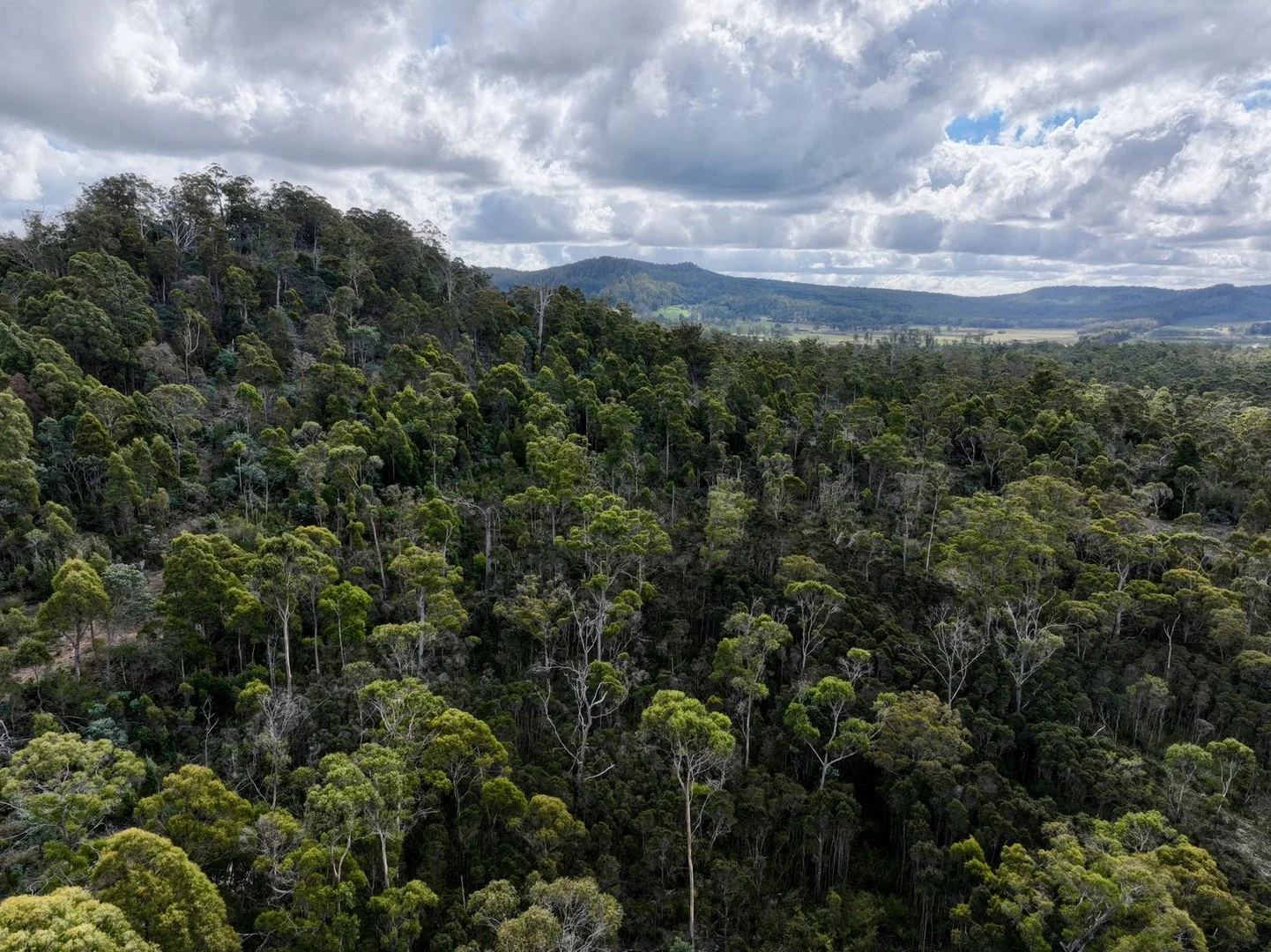 Additional image 8 of Part of 190 Porters Bridge Road, Exton TAS 7303