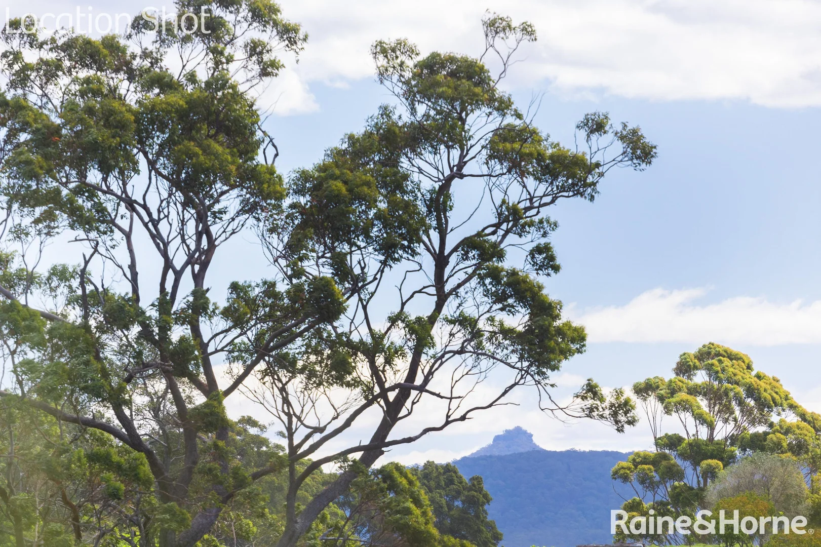 Additional image 7 of 11 Matron Porter Drive 'Ridgeway Mollymook', Mollymook Beach NSW 2539