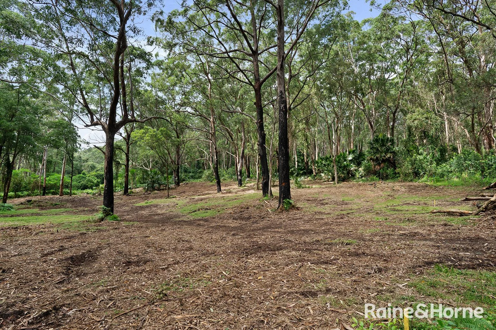 Additional image 19 of Lot 1 Selbys Road, Budgong NSW 2577