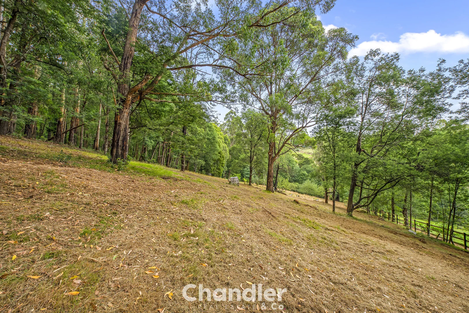 Additional image 11 of 75 Priors Road, The Patch VIC 3792