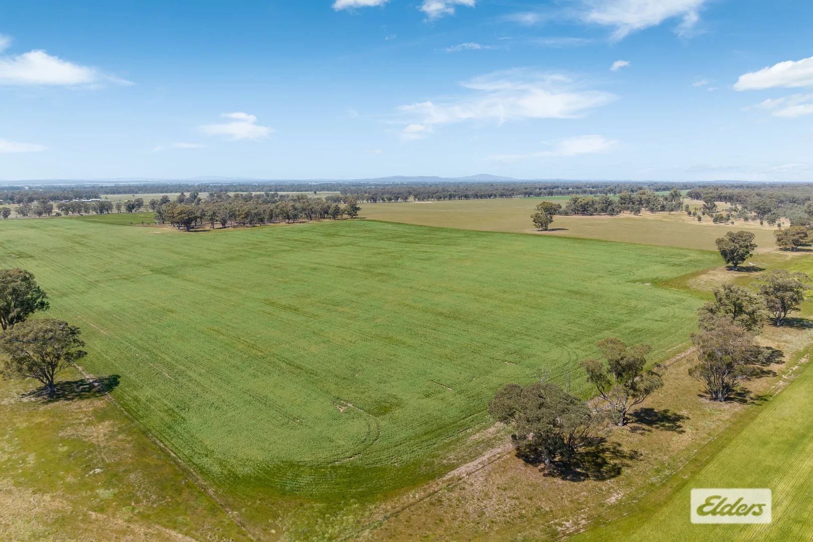 Additional image 9 of Laanecoorie-Newbridge Road, Newbridge VIC 3551