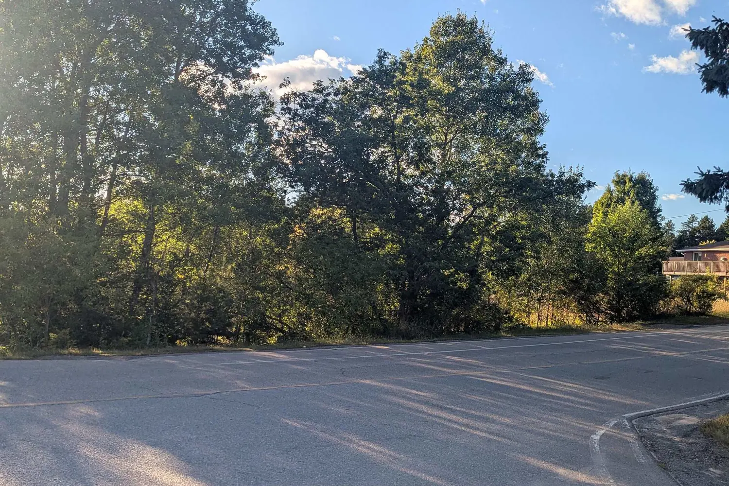 Additional image 6 of 00000 Opeongo Line