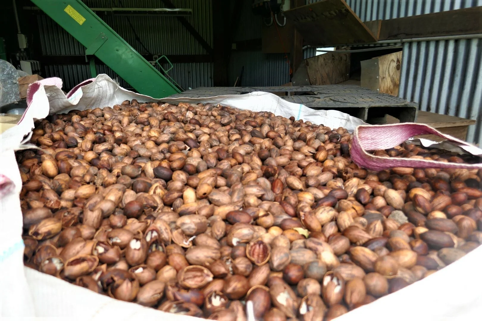 Additional image 20 of 139 Homestead Road, Kyogle NSW 2474