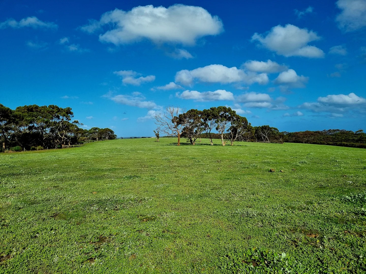 958 Crabbs Road, Newland SA 5223