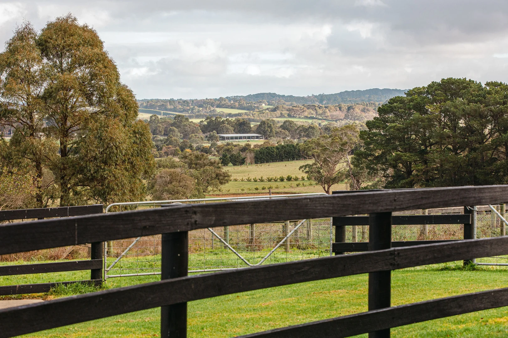 Additional image 22 of 349 Stumpy Gully Road, Balnarring VIC 3926