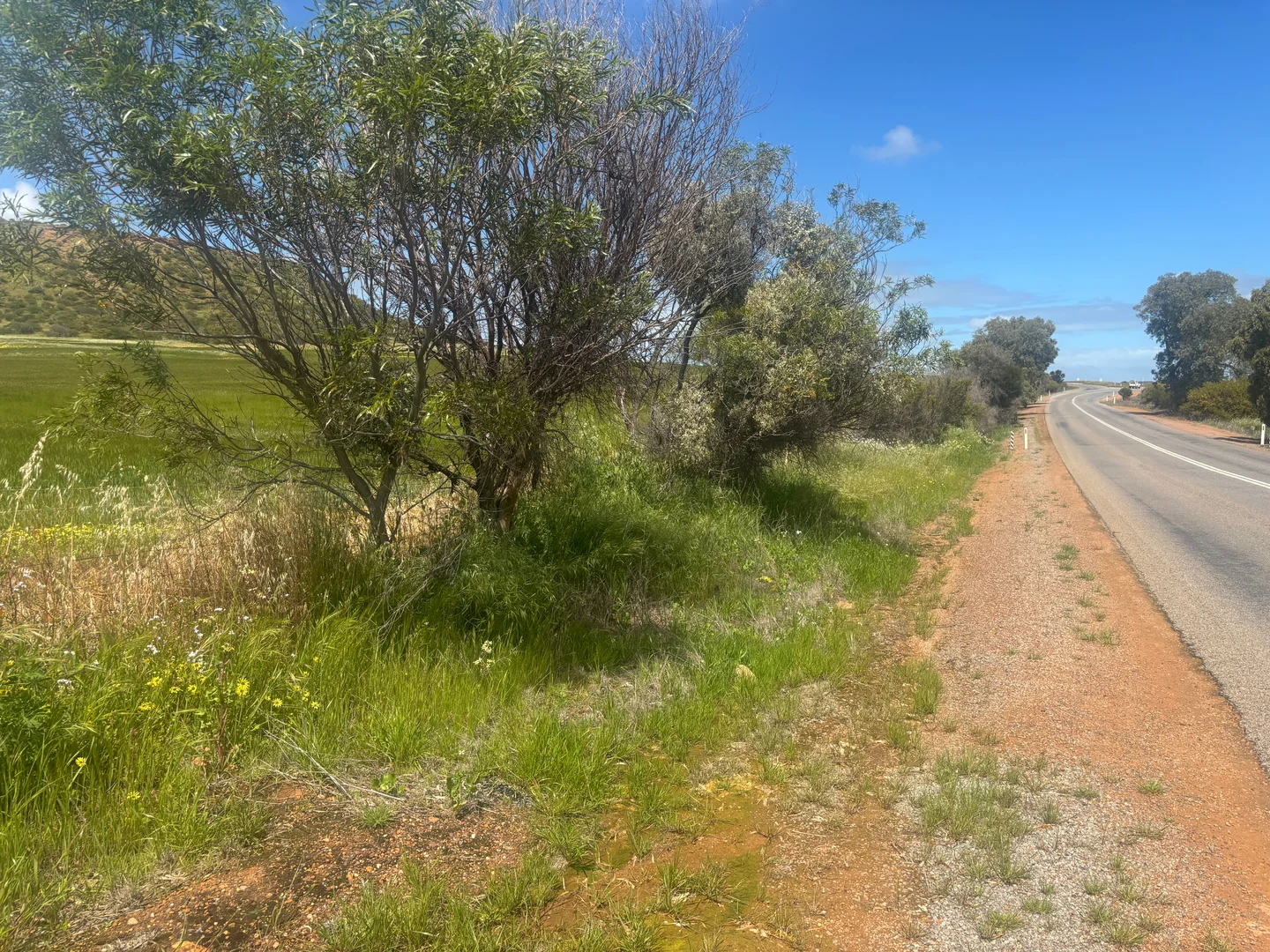 Additional image 3 of 9500 Chapman Valley Road, Narra Tarra WA 6532