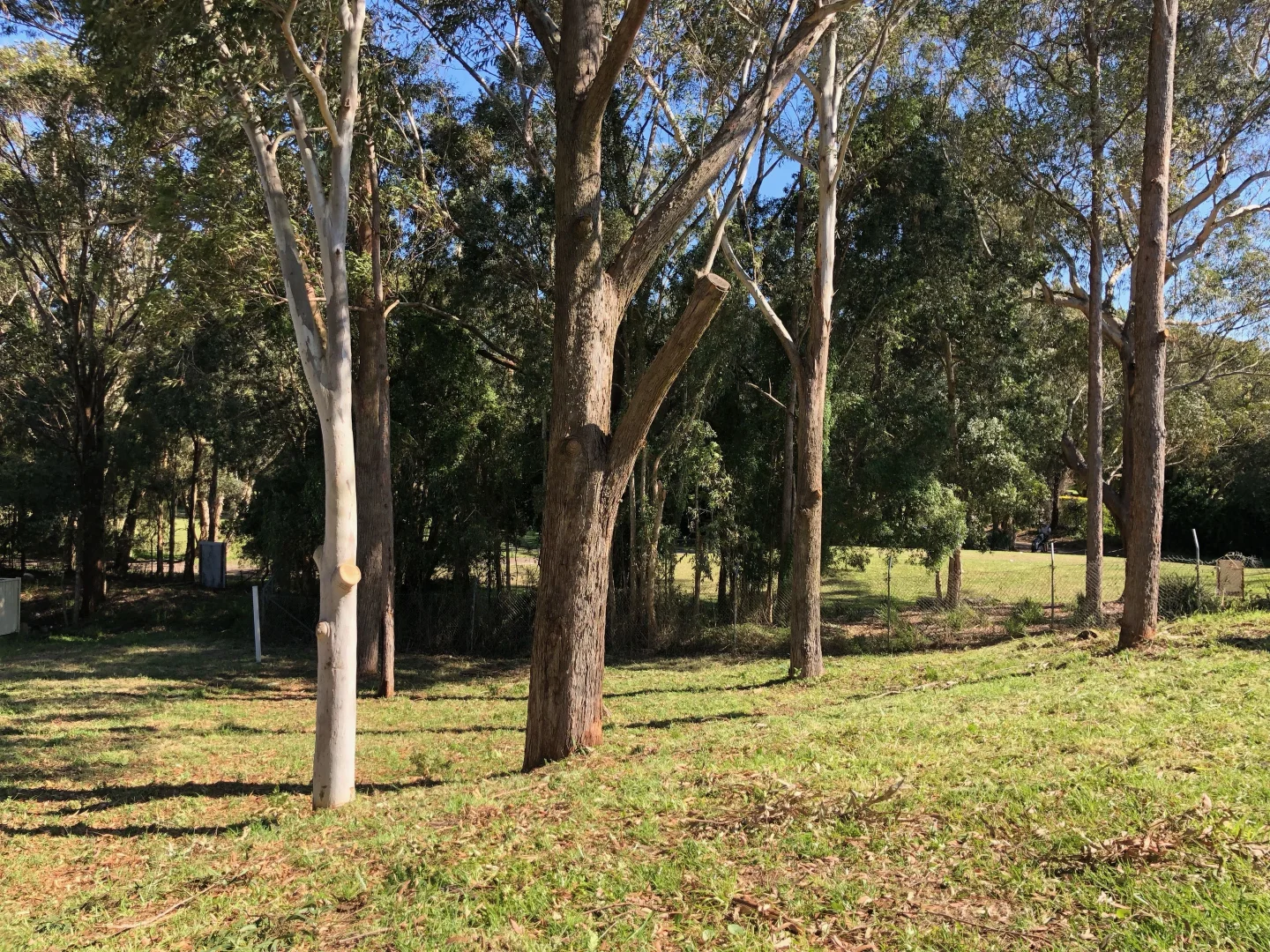 Additional image 11 of 52c Salamander Way, Salamander Bay NSW 2317