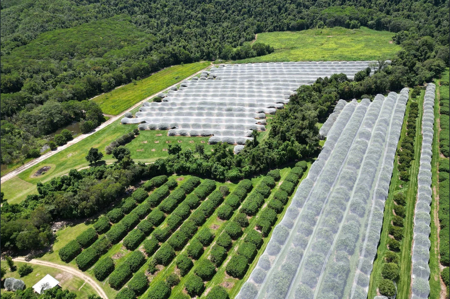 Additional image 34 of 281 Dingo Pocket Rd, Dingo Pocket QLD 4854