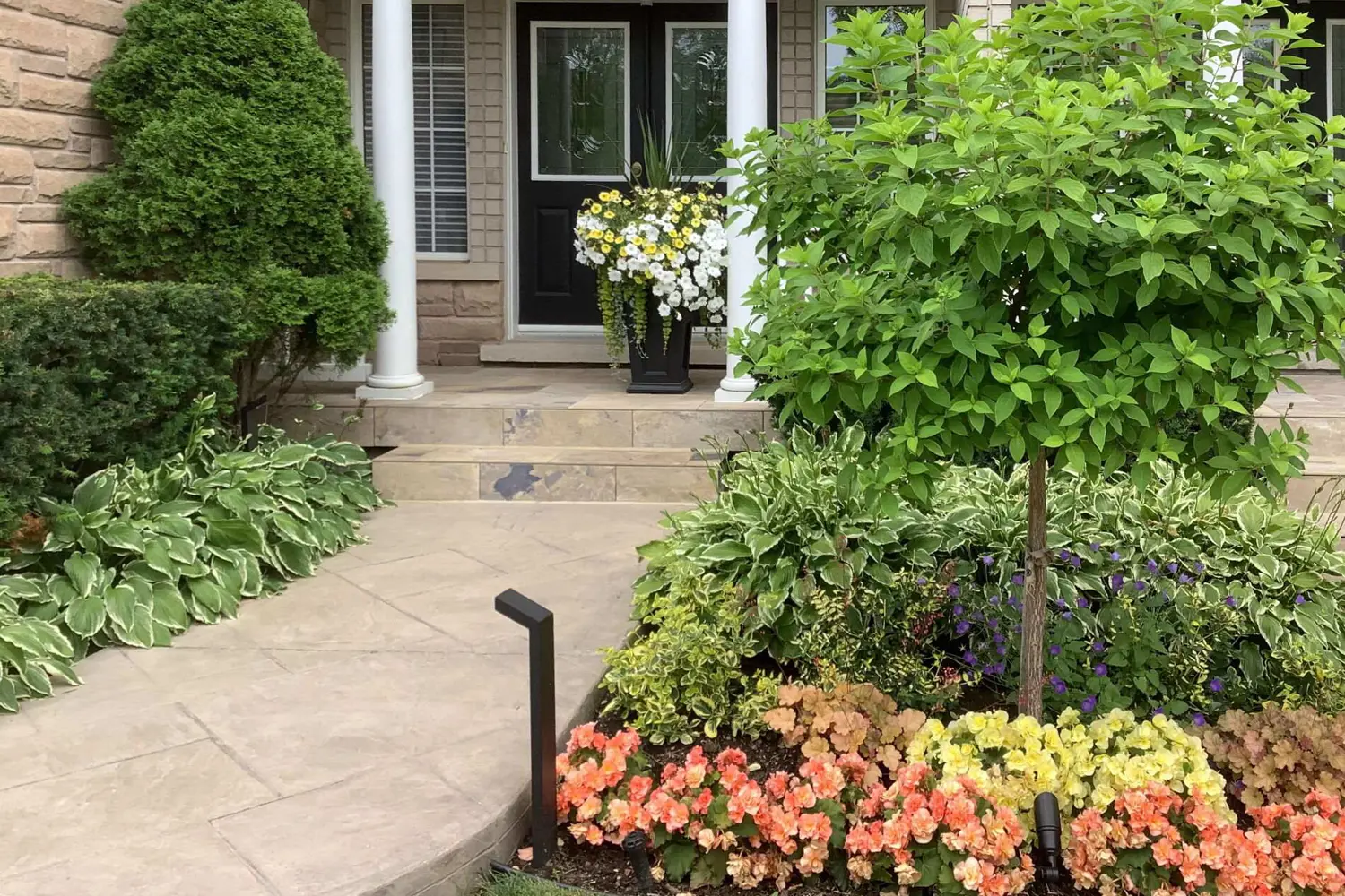 Additional image 2 of 463 Crossing Bridge Place