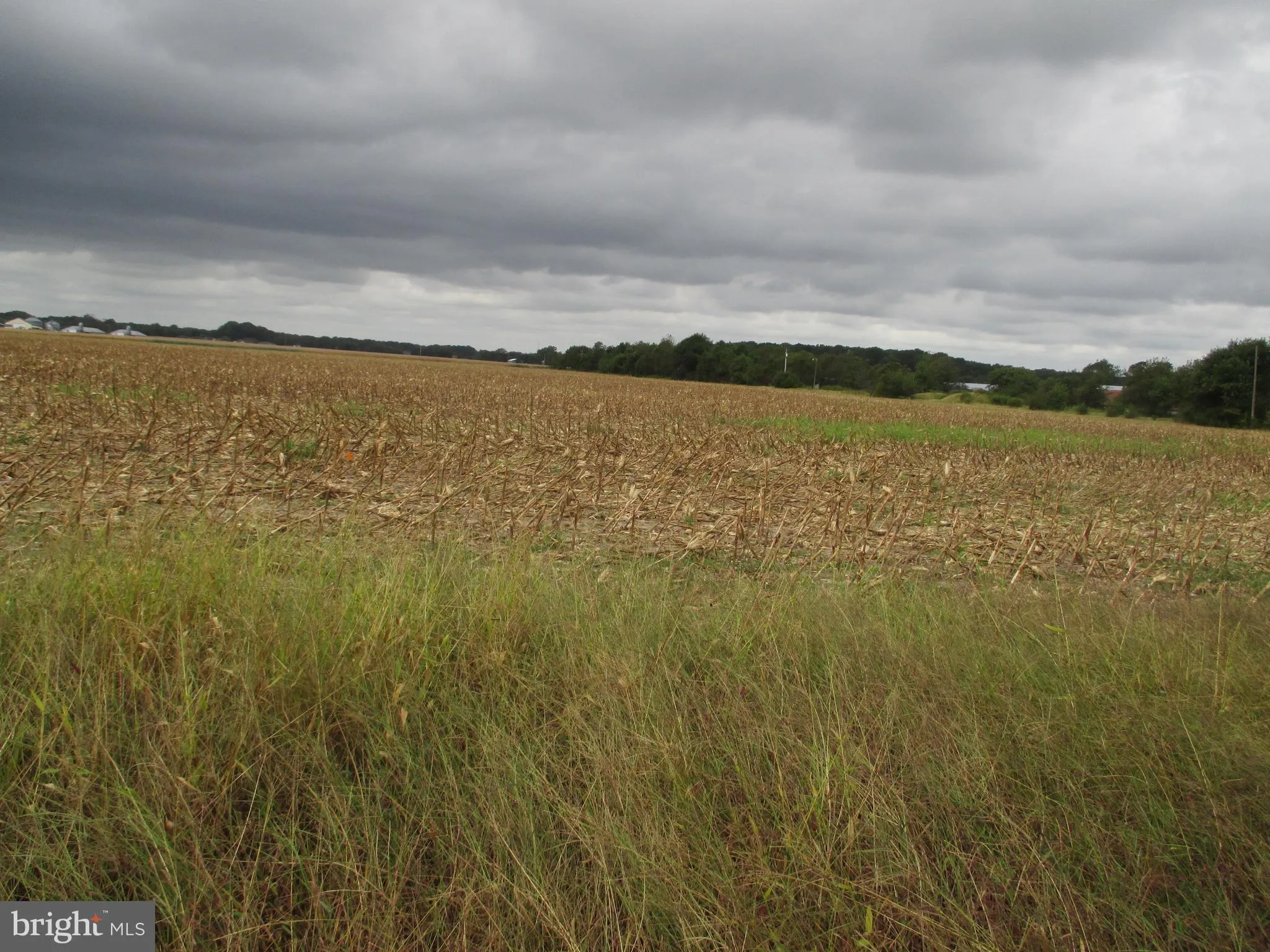 Additional image 7 of Lot 6 Gray Road St, Dagsboro, DE 19939