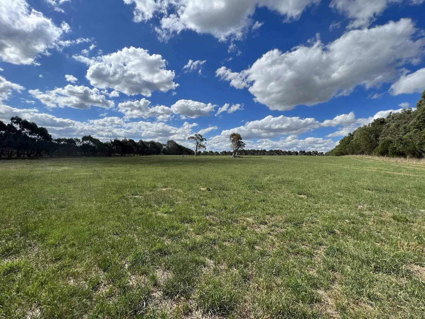 Additional image 34 of Lot 1 Mount Rae Road, Roslyn, Crookwell NSW 2583