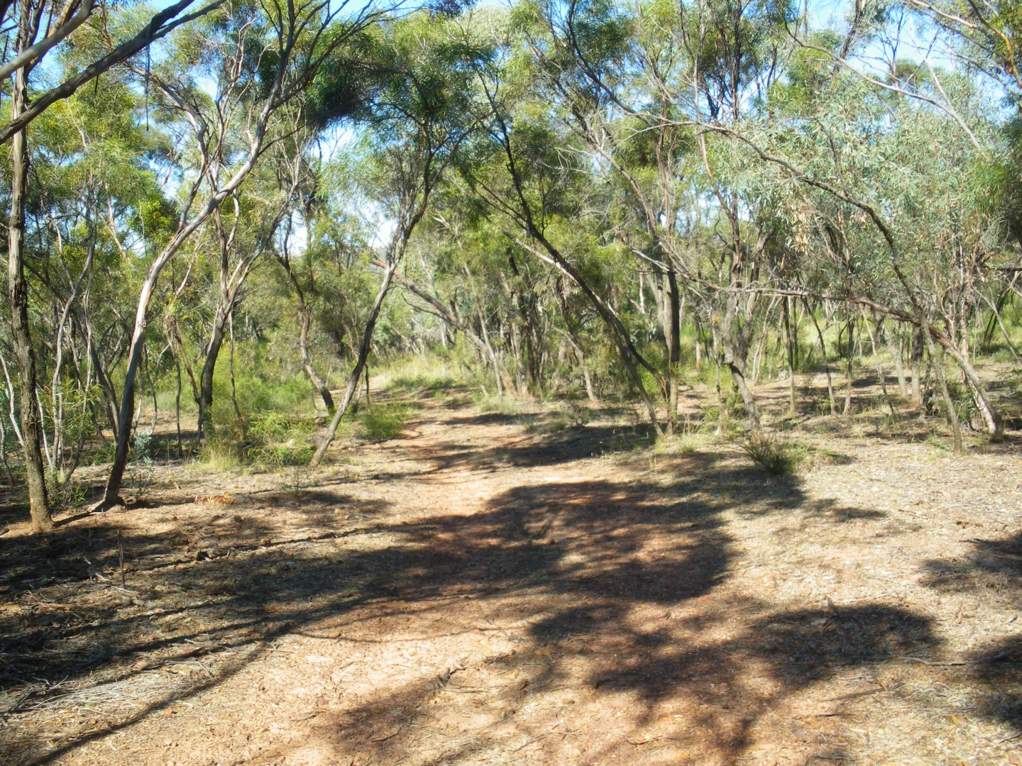 Additional image 17 of 6803 Calder Highway, Wedderburn VIC 3518