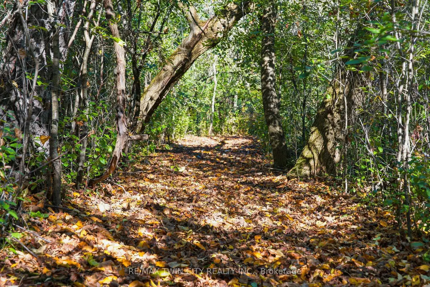 Additional image 15 of 24 River Road