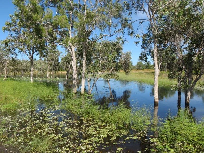 Additional image 23 of Van Lee Station, Mount Surprise QLD 4871