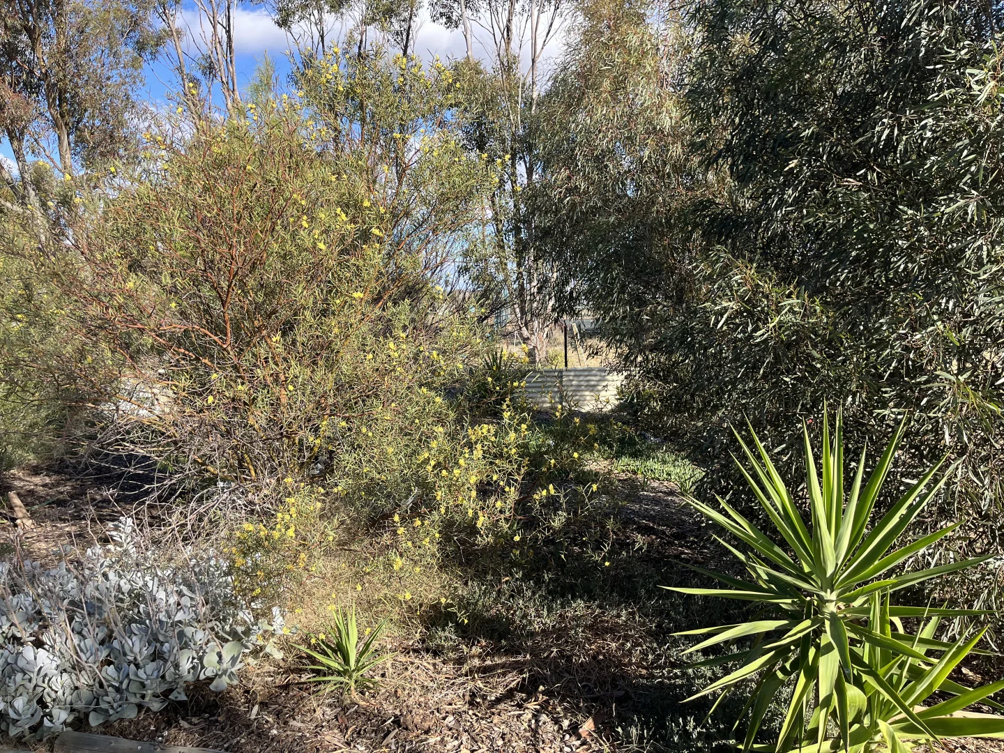 Additional image 32 of 3 Netherby Baker rd, Netherby VIC 3418