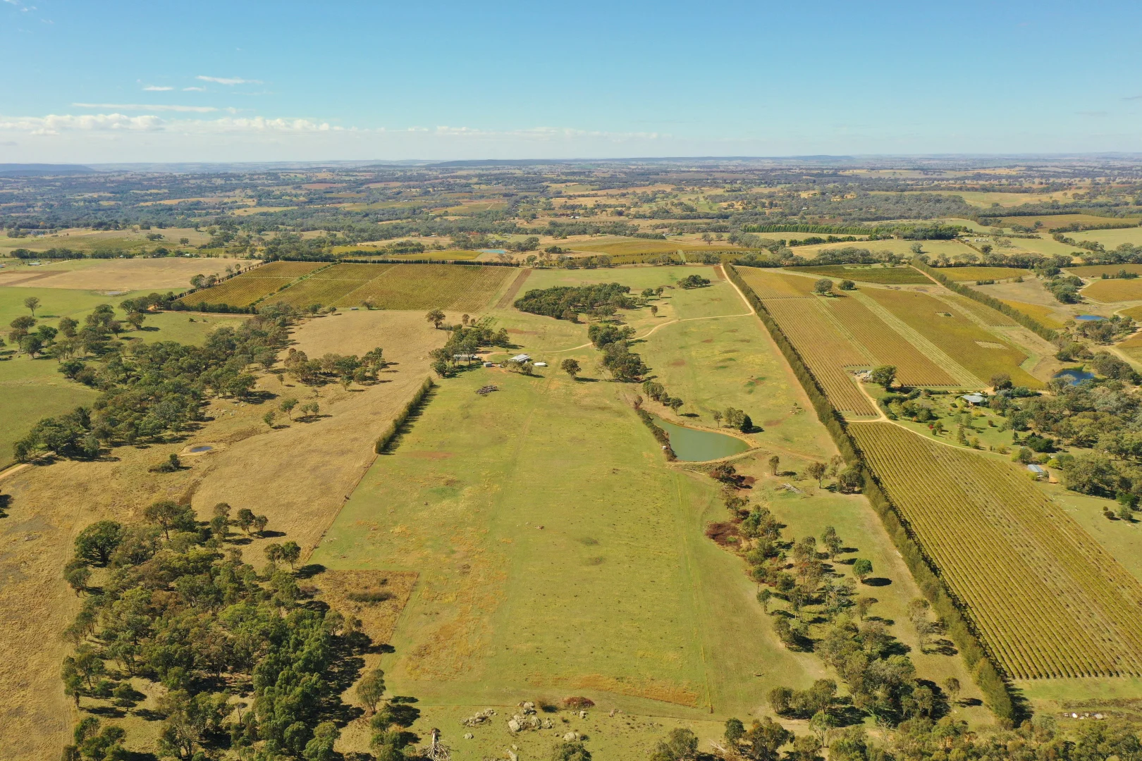 Additional image 22 of 760 Spring Creek Road, Young NSW 2594