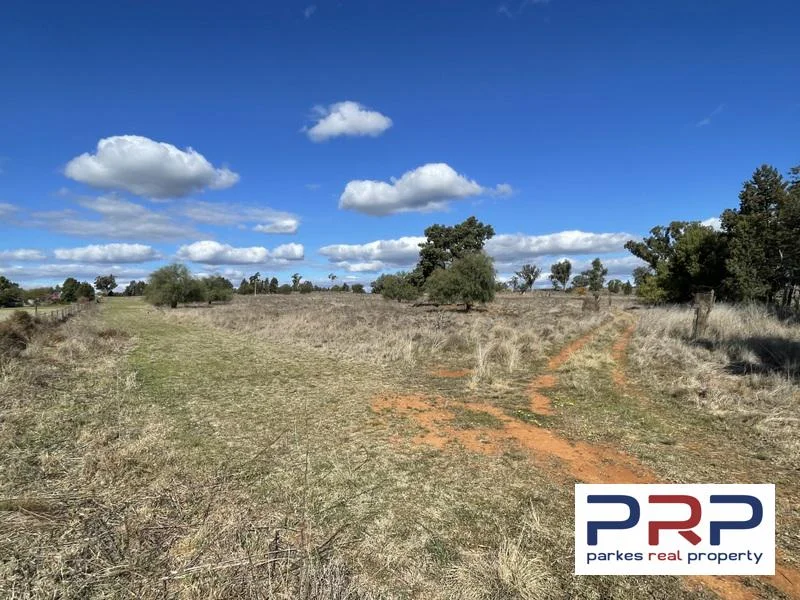Additional image 3 of 48 Furners Lane, Trewilga NSW 2869