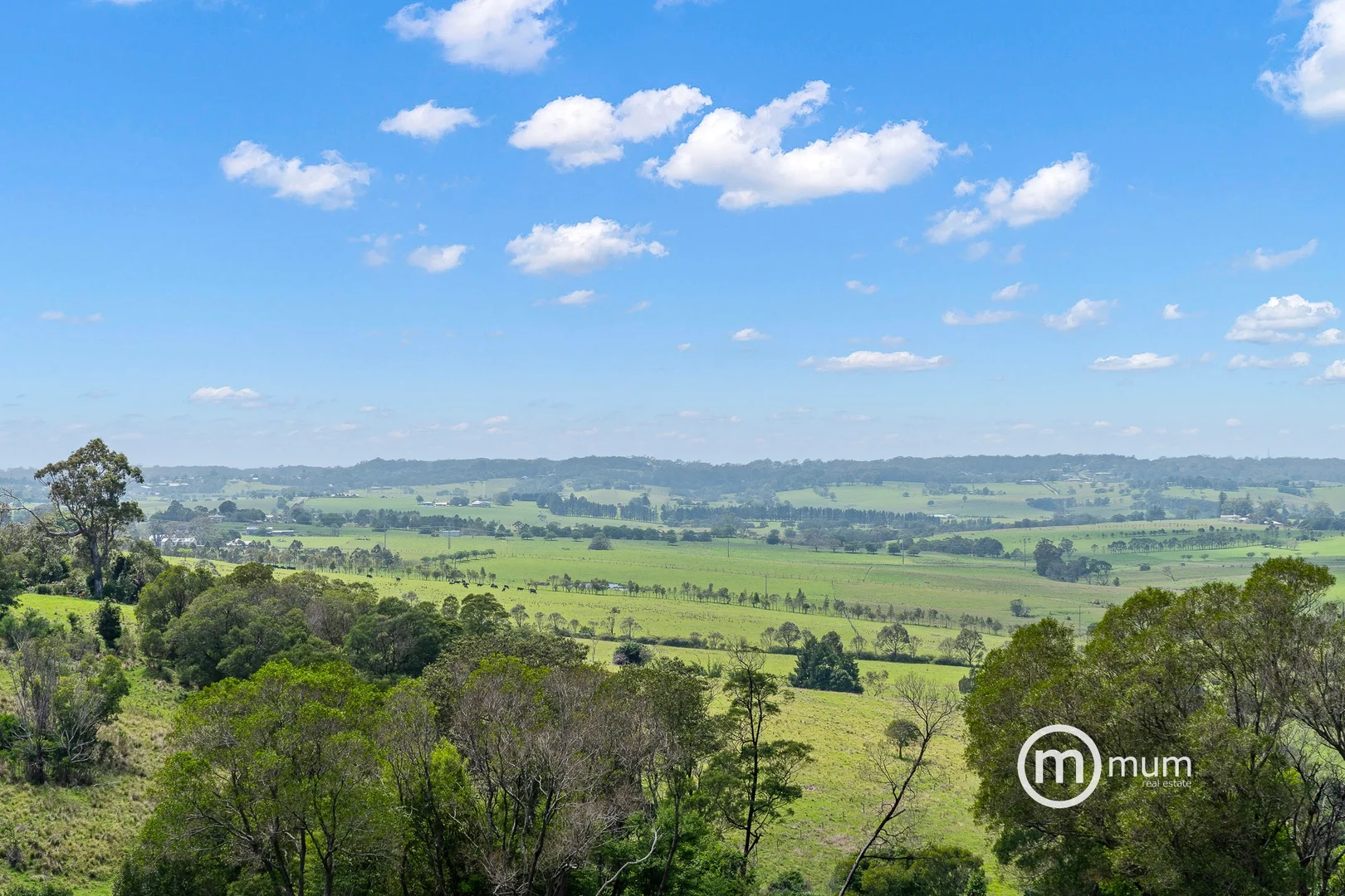 Additional image 20 of 591D Croobyar Road, Croobyar NSW 2539