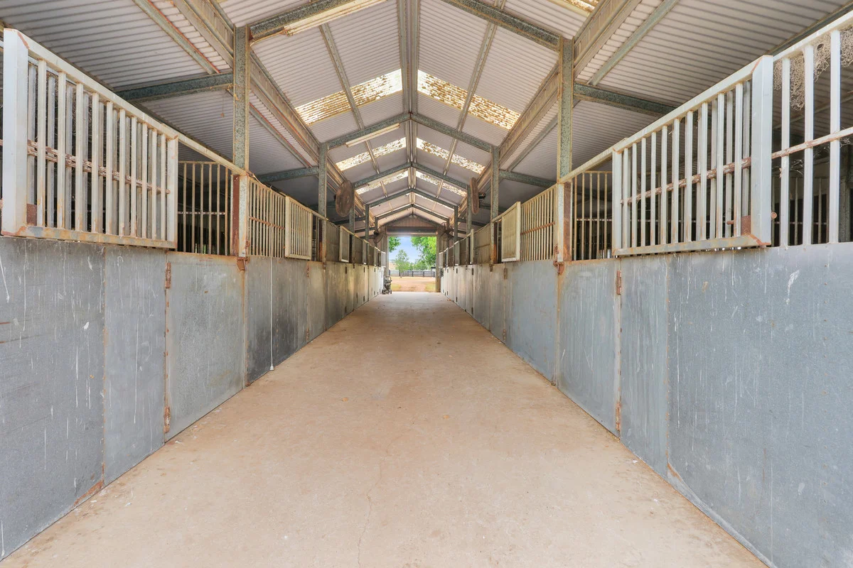 Additional image 5 of 164 Upper Dartbrook Road, Scone NSW 2337