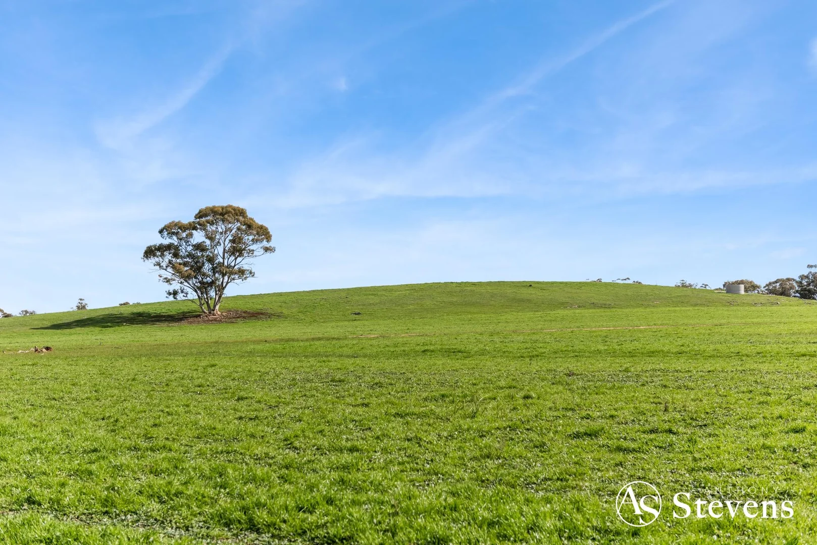 Additional image 15 of 499 Old Wedderburn Road, Slaty Creek VIC 3477