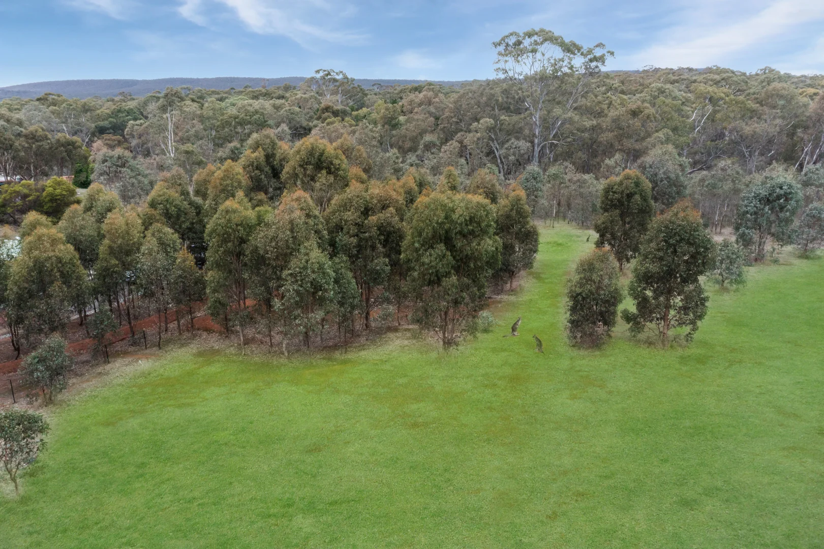 Additional image 6 of 50 Warren Road, Heathcote VIC 3523