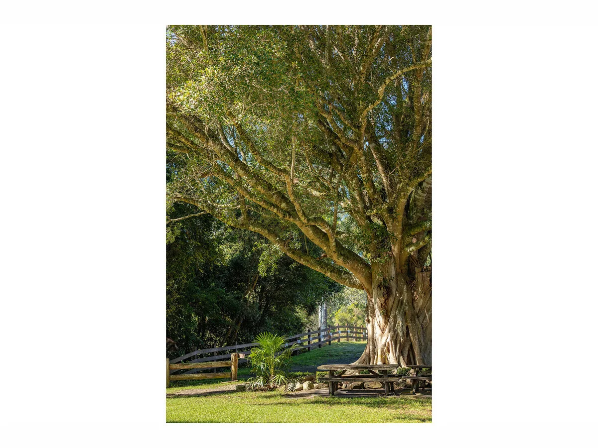 Additional image 20 of 115 Herivels Road, Wootton NSW 2423