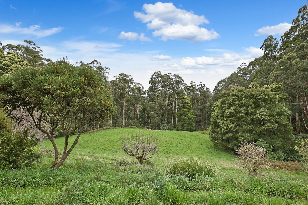 Additional image 27 of 3360 Colac-Lavers Hill Road, Ferguson VIC 3237