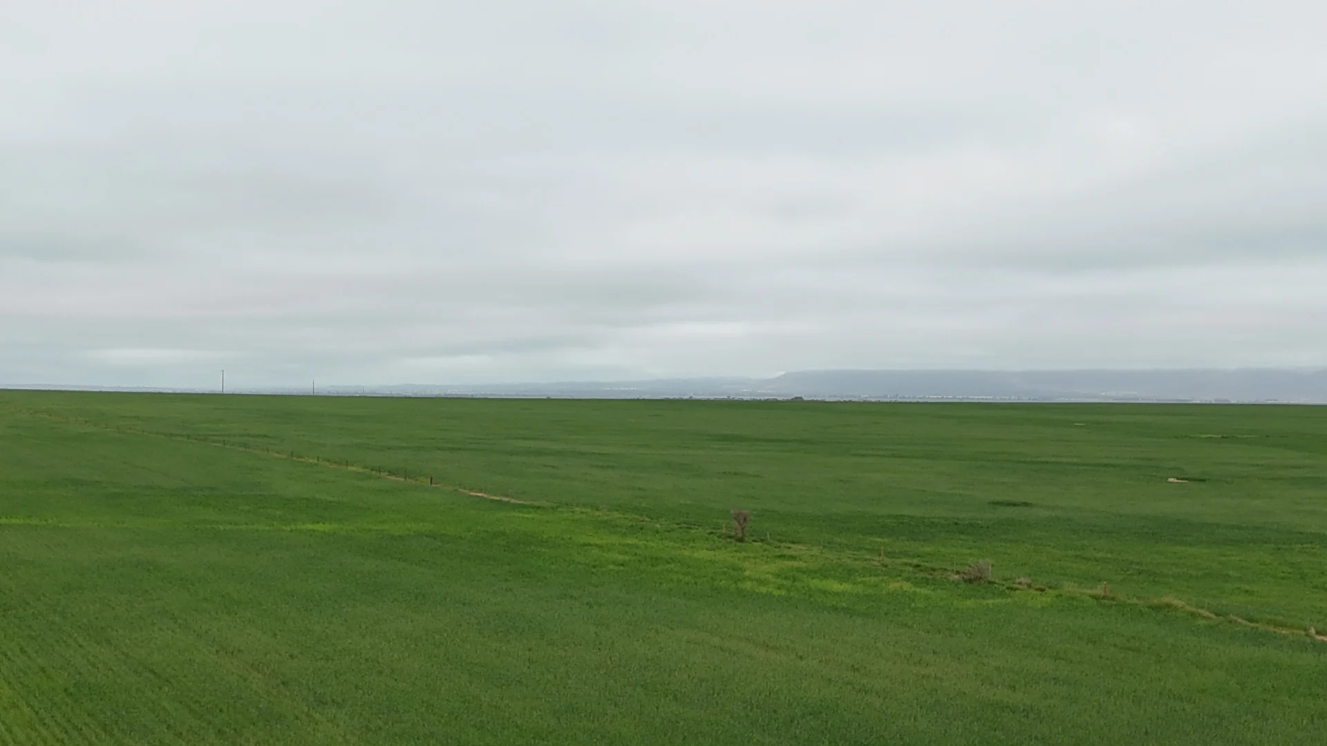 Additional image 20 of 26 Amyton Road, Willowie SA 5431