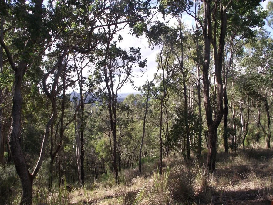 Additional image 12 of Stegemann Road, Upper Glastonbury QLD 4570