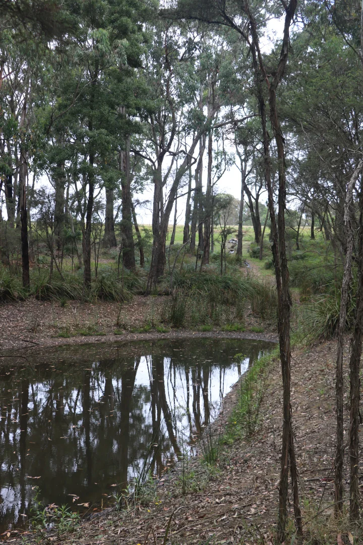 Additional image 23 of 65 Gardiners Road, Barongarook VIC 3249