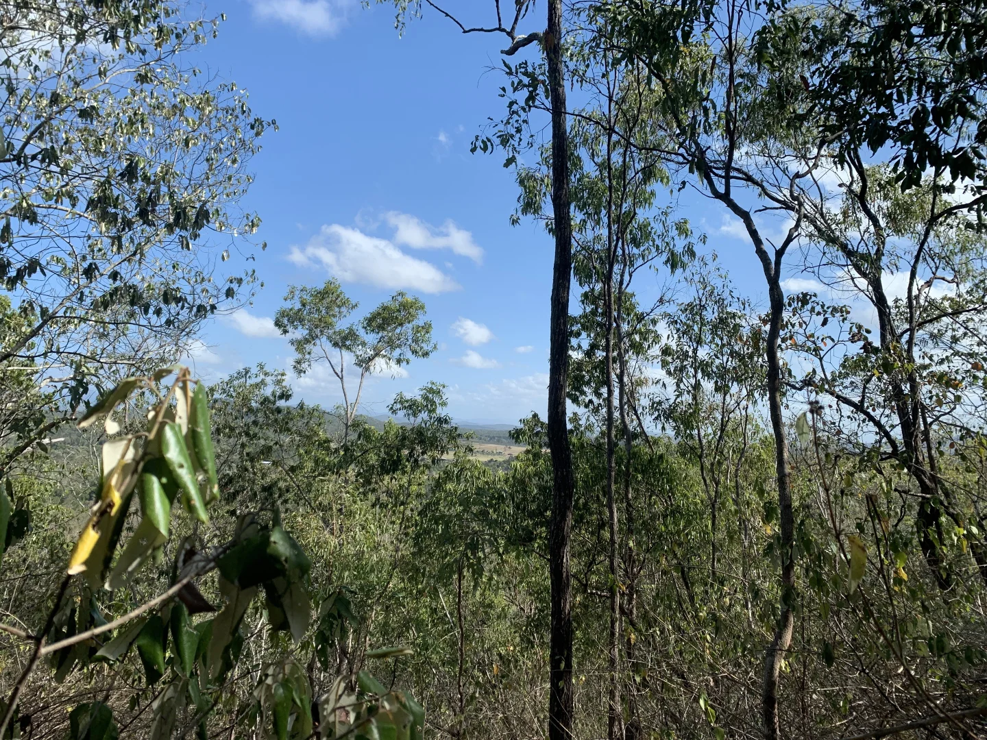 Additional image 15 of LOT 36 Whitsunday Dr, Bloomsbury QLD 4799