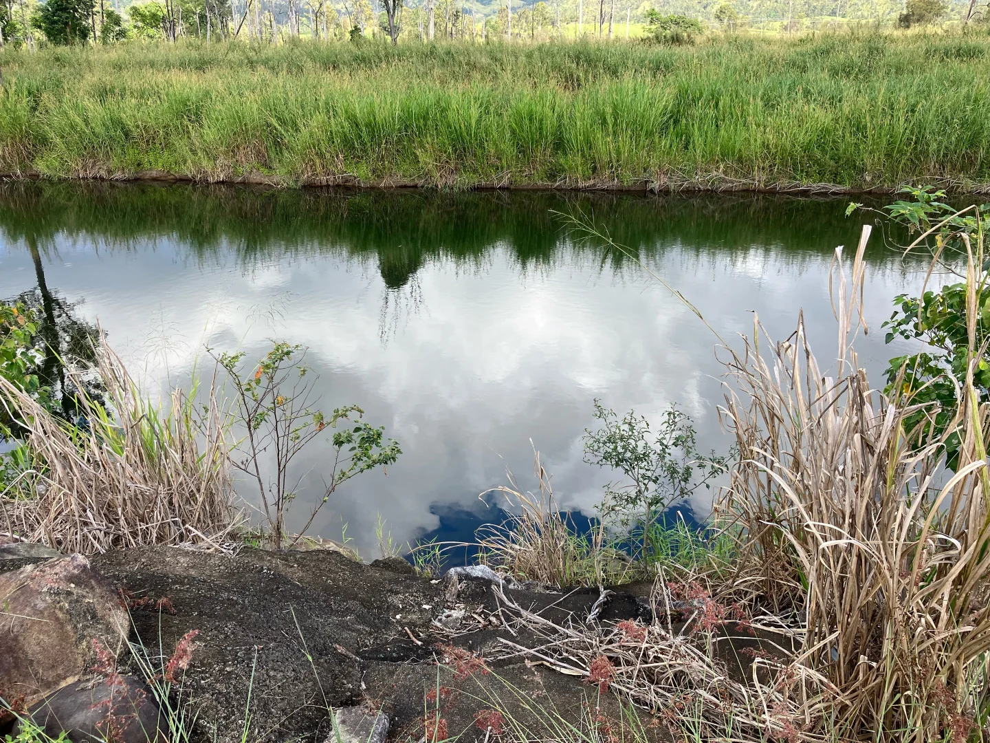 Additional image 34 of Finch Hatton QLD 4756