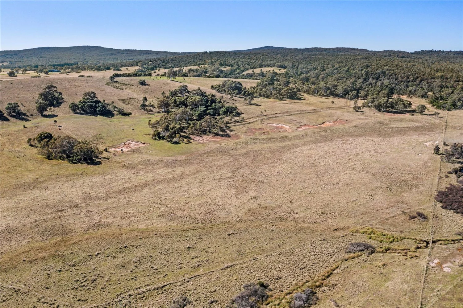 Additional image 49 of 134 Lakeview Road, Tarago NSW 2580