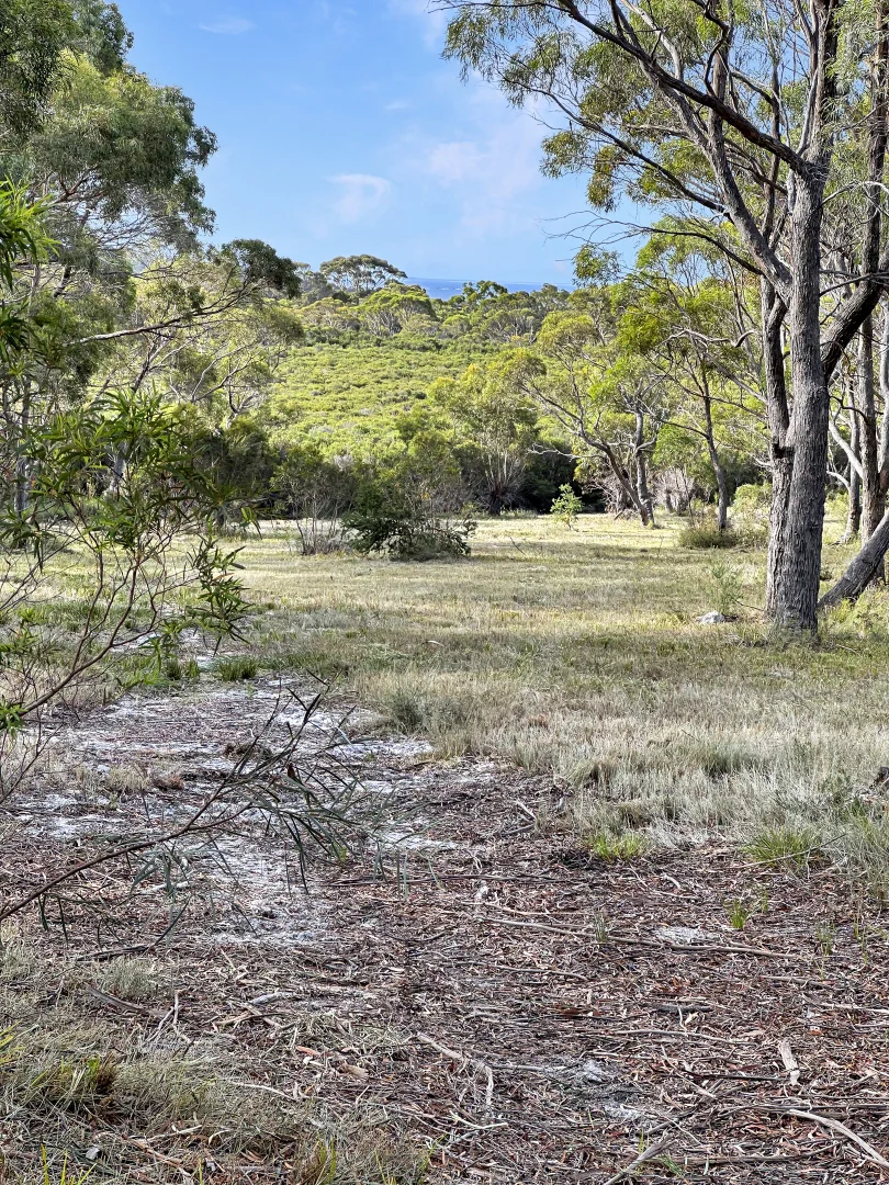 Additional image 30 of 24 Jeanneret Crescent, Binalong Bay TAS 7216