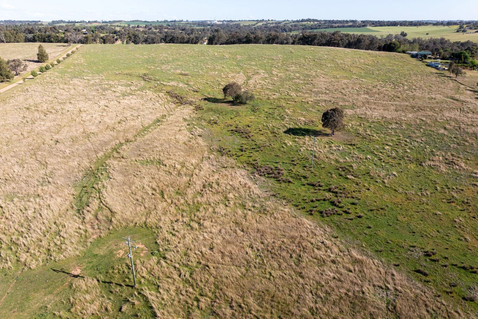 Additional image 31 of 251 Pattersons Lane, Young NSW 2594