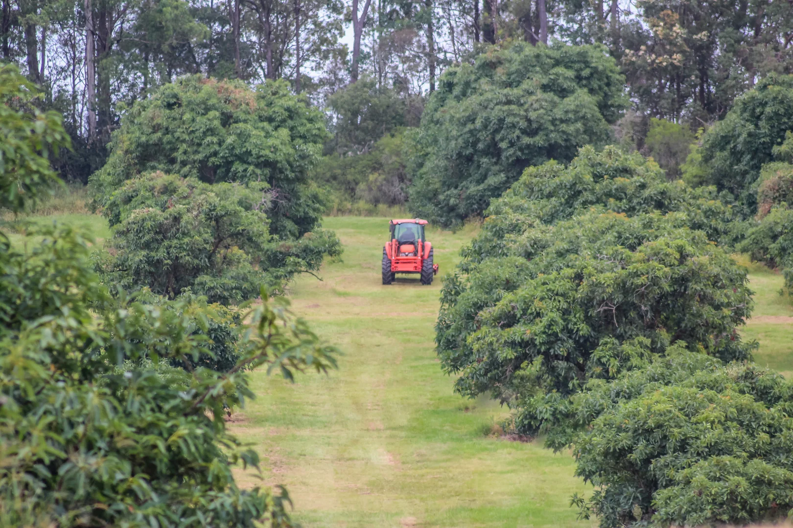 Additional image 39 of 107 Cherry Creek Road, Cherry Creek QLD 4314