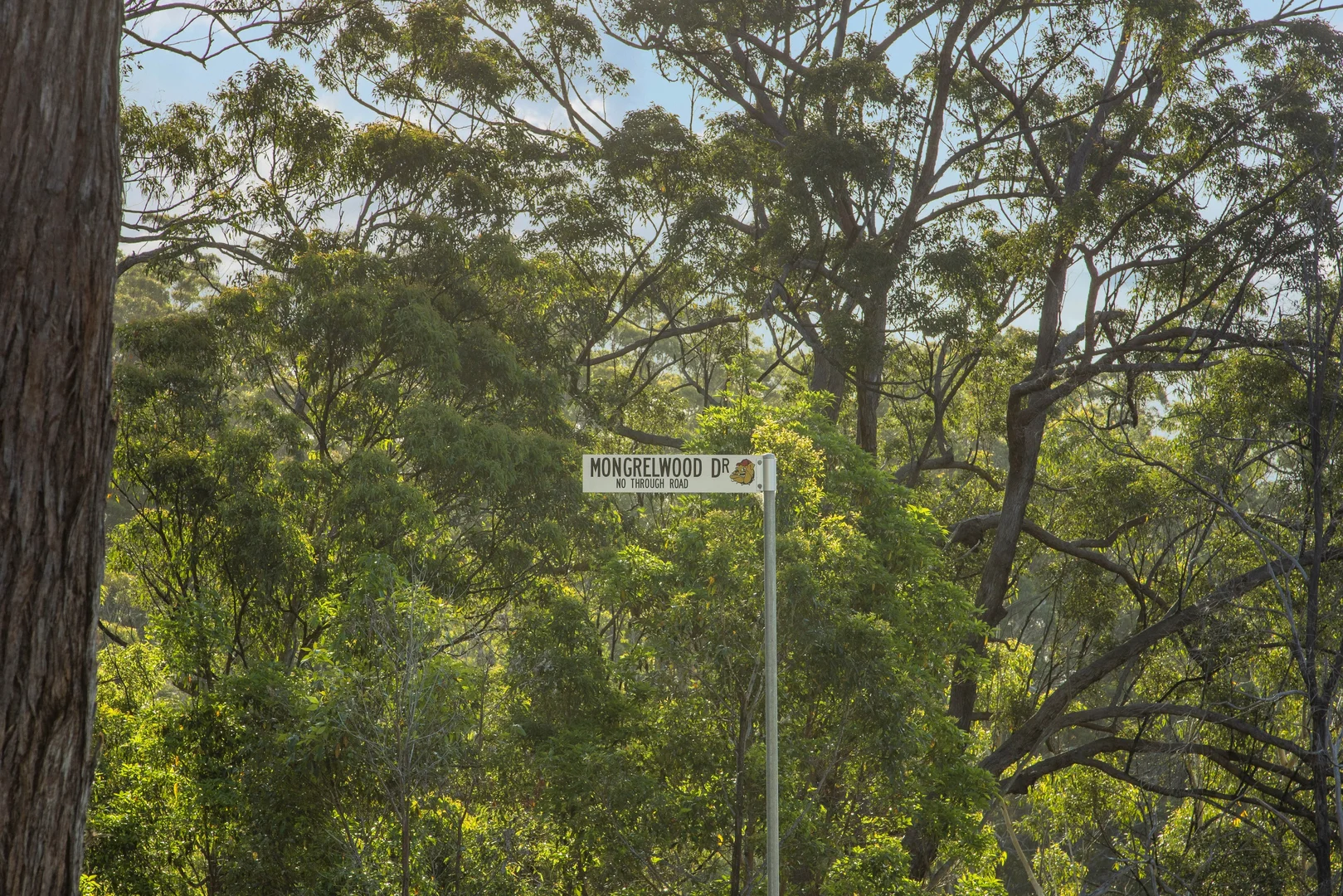 Additional image 19 of 1-9/11 Tanglewood Drive, Tanglewood NSW 2488