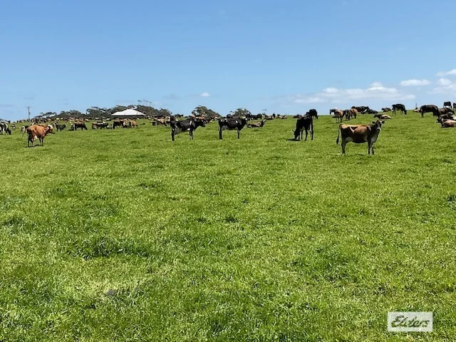 Additional image 27 of Dawkins Road, Lileah TAS 7330