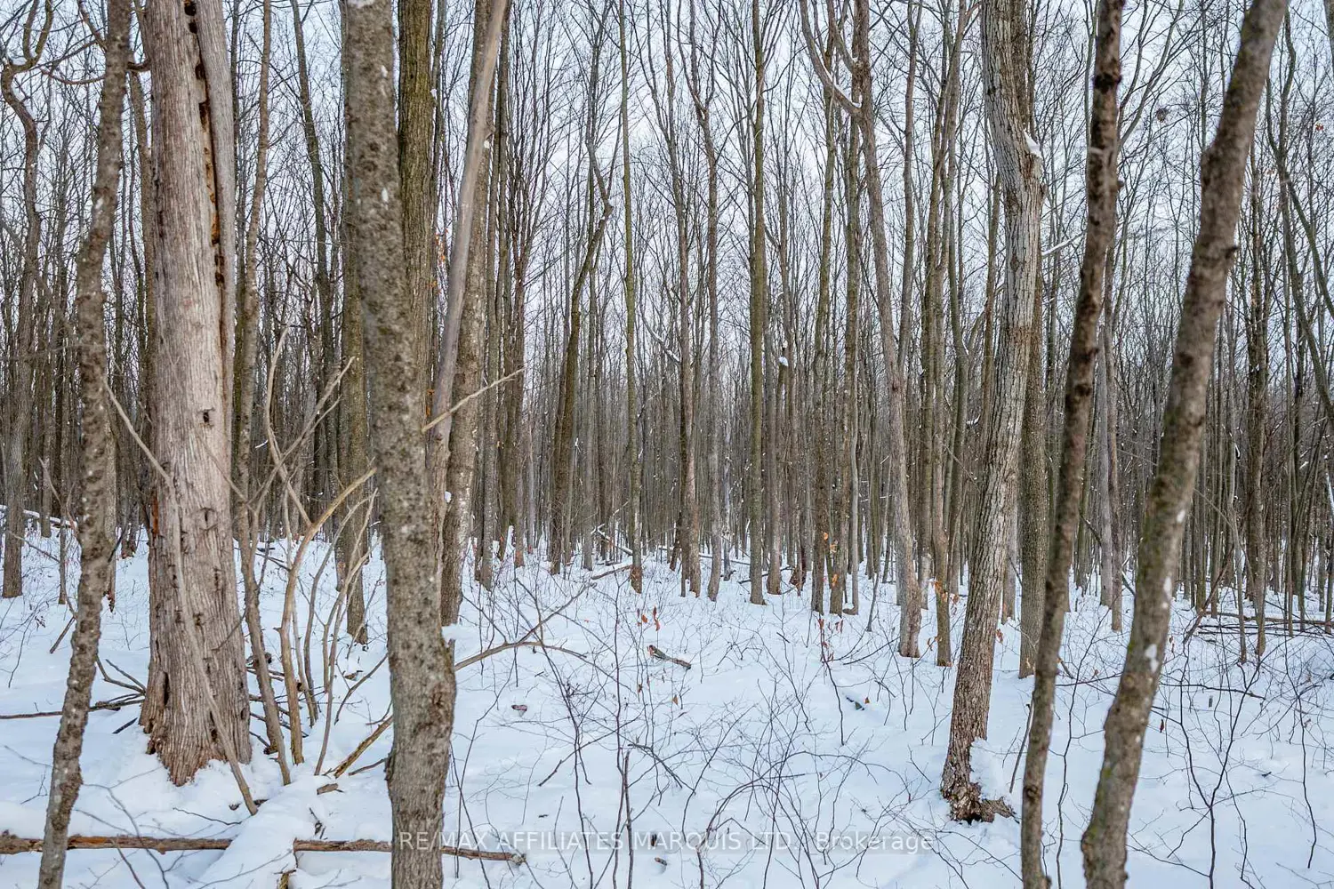 Additional image 12 of Lot Concession 10 Road