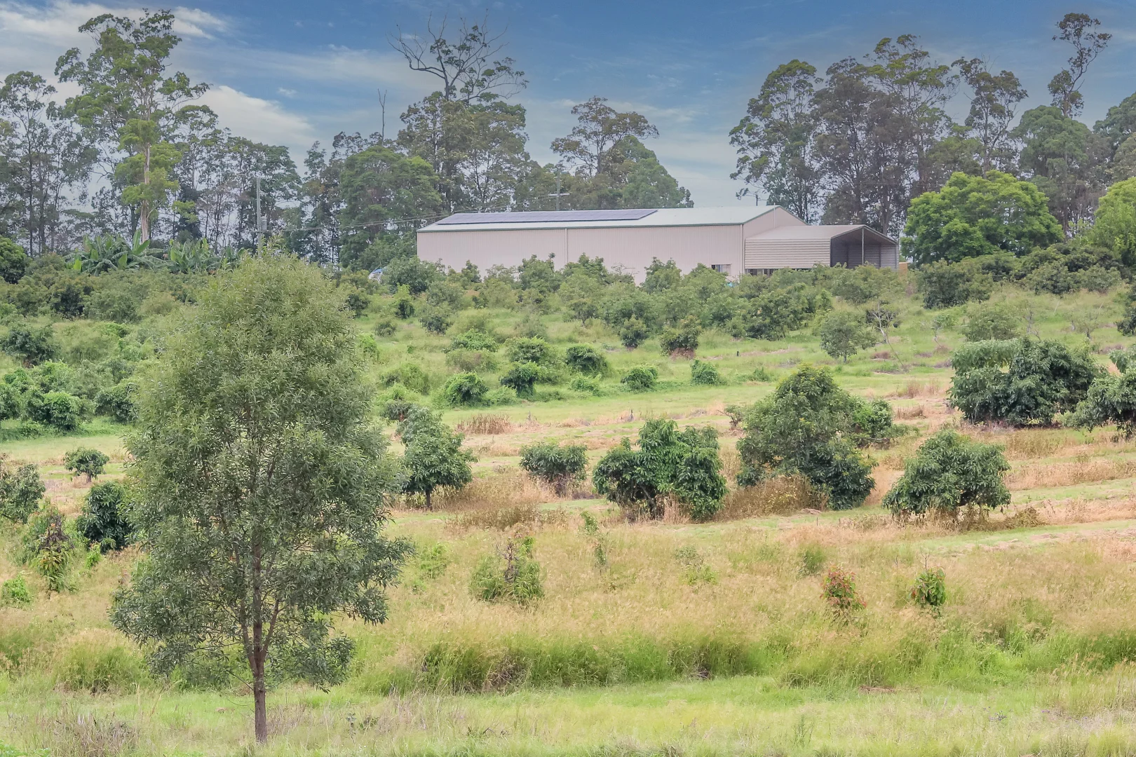 Additional image 25 of 107 Cherry Creek Road, Cherry Creek QLD 4314