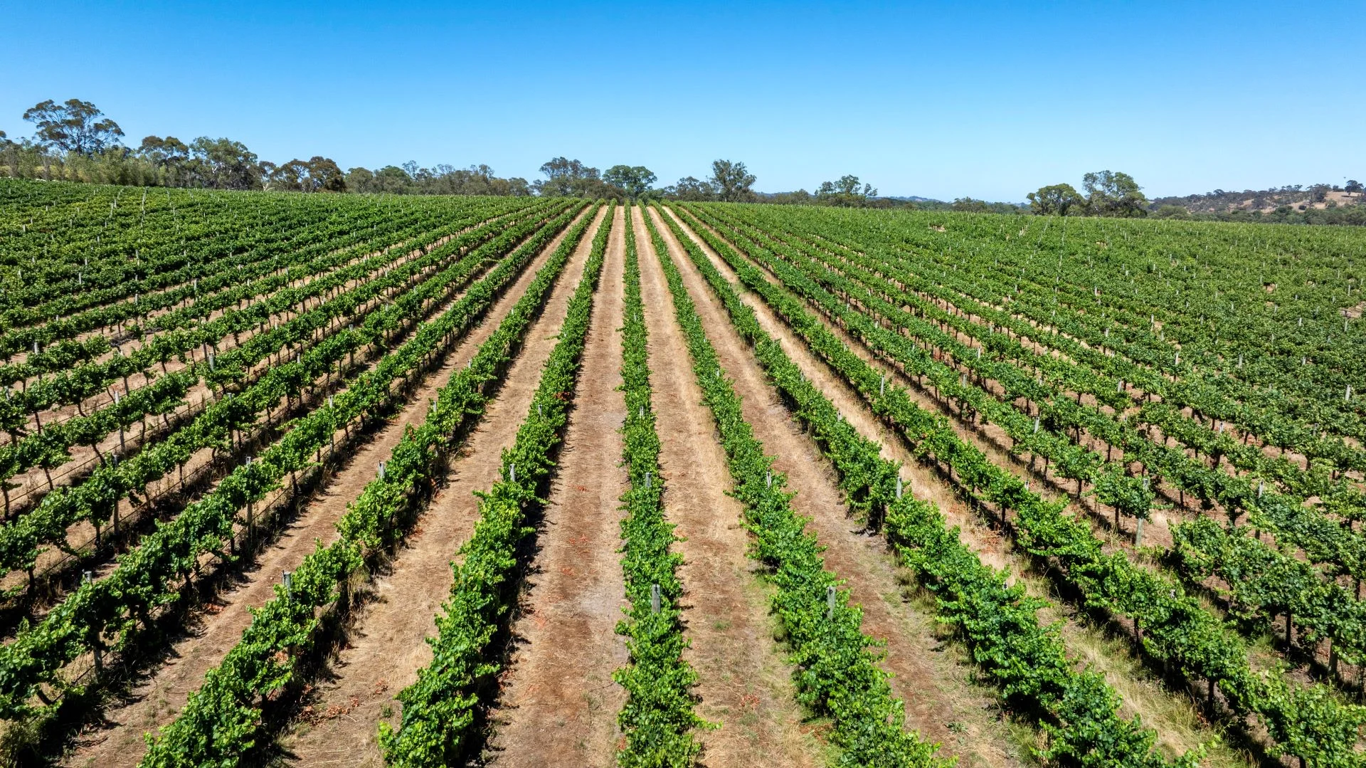 Additional image 10 of 1282 Torrens Valley Road, Birdwood SA 5234