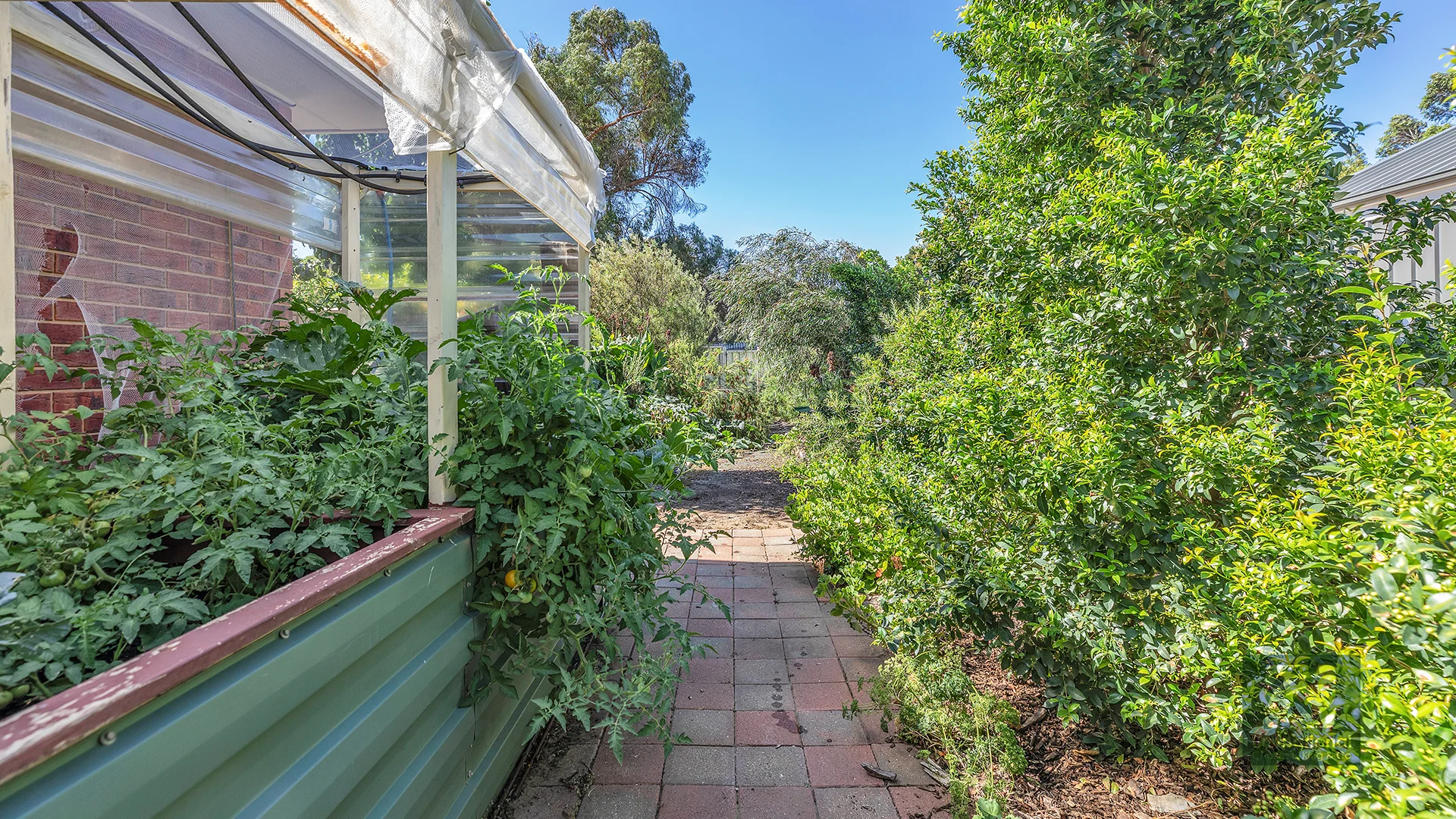 Additional image 26 of 85 Fehring Lane, Echuca VIC 3564